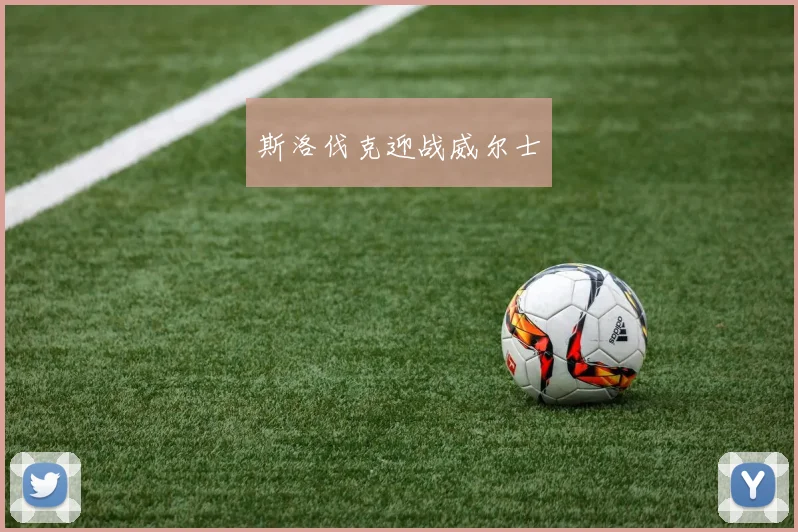 斯洛伐克迎战威尔士