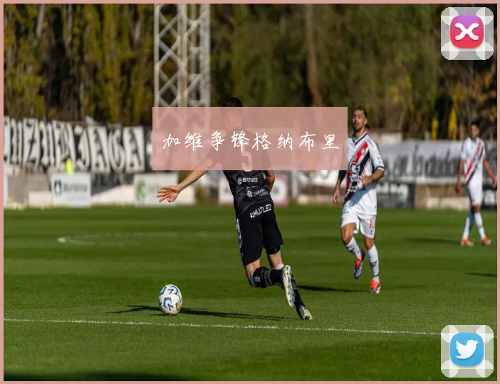 加维争锋格纳布里
