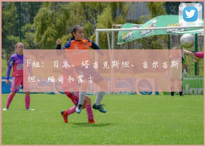 F组：日本、塔吉克斯坦、吉尔吉斯坦、缅甸和蒙古