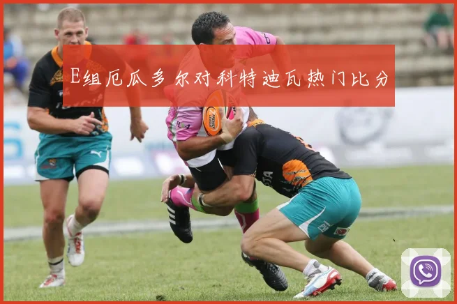 E组厄瓜多尔对科特迪瓦热门比分