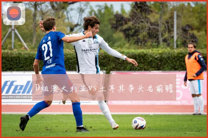 D组澳大利亚vs土耳其争头名前瞻