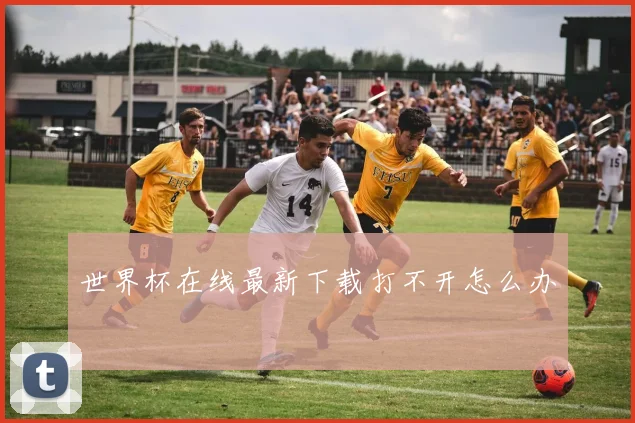 世界杯在线最新下载打不开怎么办