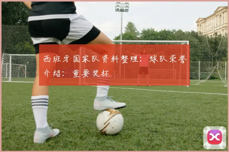 西班牙国家队资料整理：球队荣誉介绍：重要奖杯